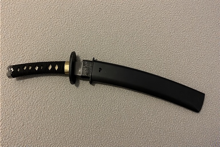 Blade Sheathed in a Saya NYT