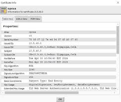Client Certificate Authentication in Niagara 4
