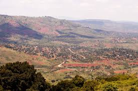 Mapanetevi